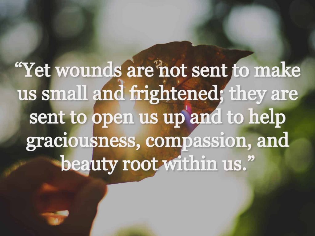 "Wounds are not sent to make us small and frightened; they are sent to open us up and to help graciousness, compassion, and beauty root within us.”