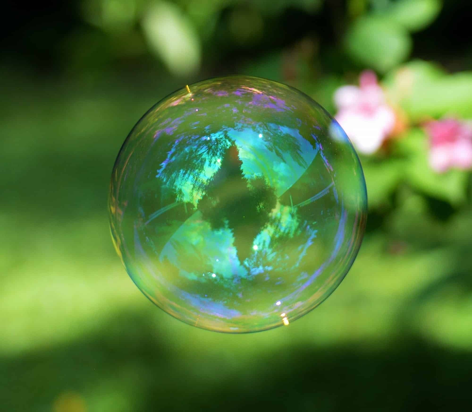 A close-up of a bubble that reflects the trees and sky around it