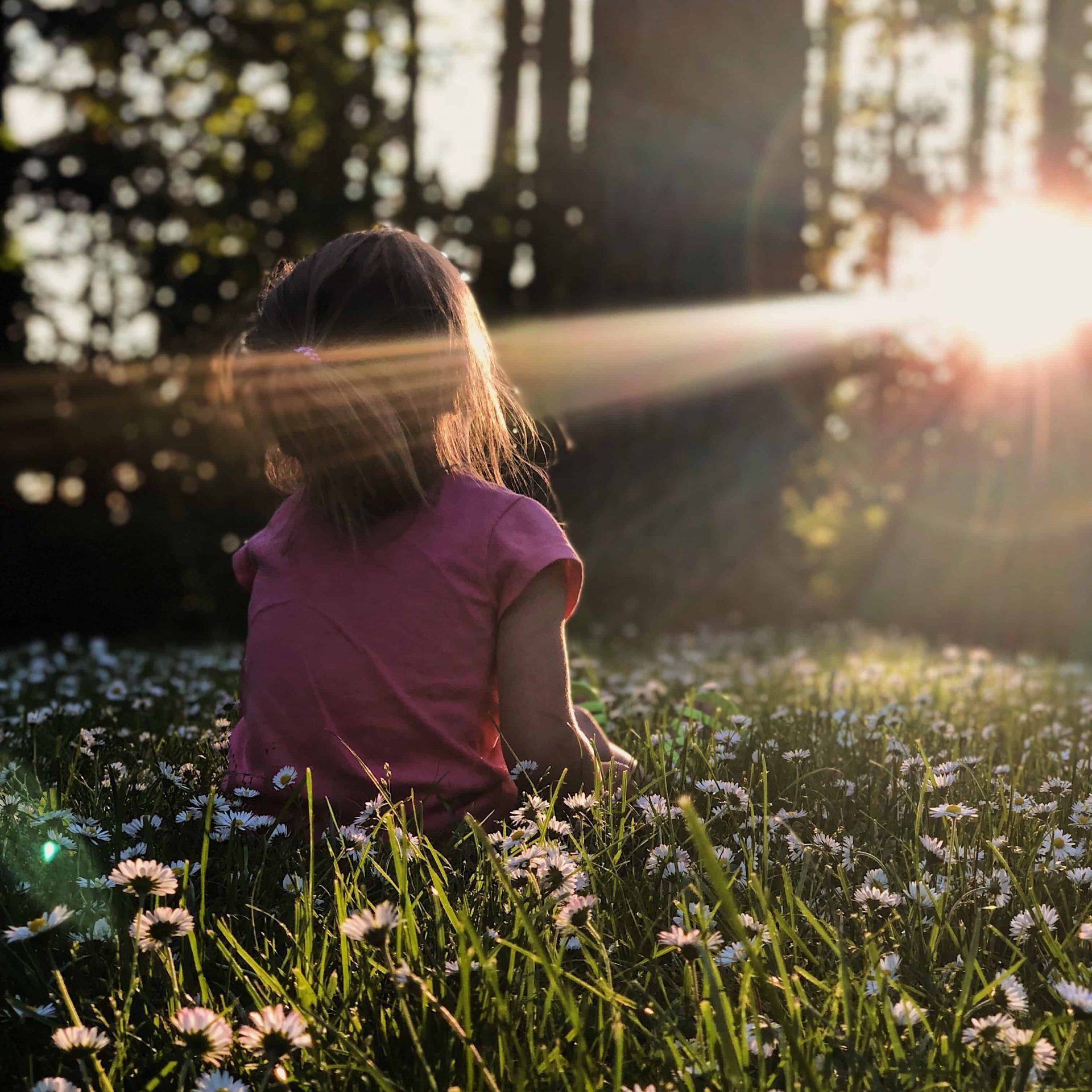 A girl sitting in a flower meadow with trees in the background and the sun shining on her