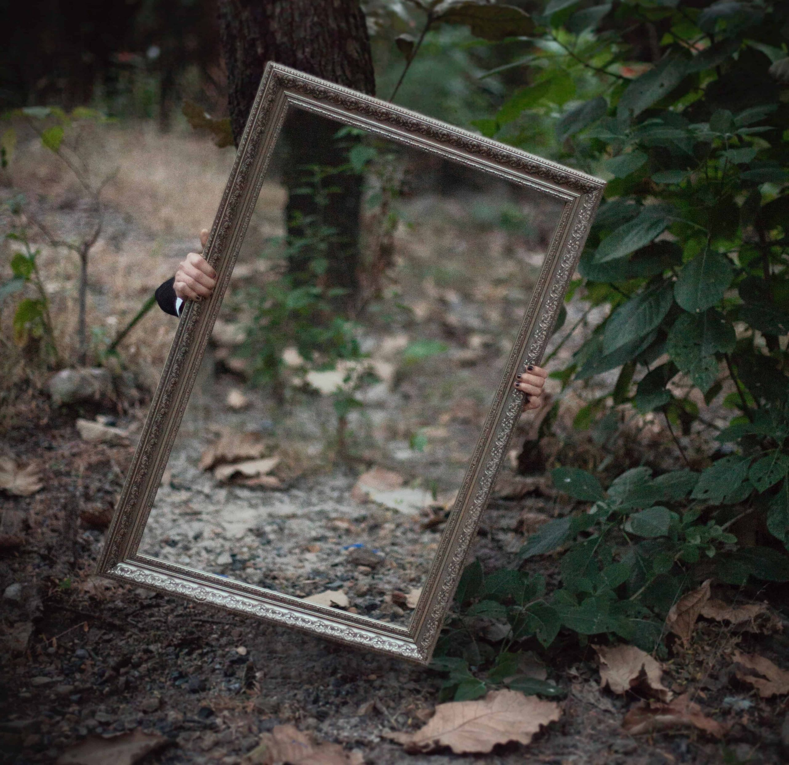 Two people holding a large mirror outside that's facing the camera and mirroring the forest background
