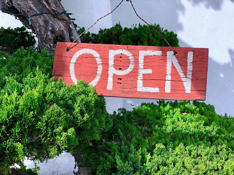 A close-up of a red wooden "Open" sign hung on a tree outside