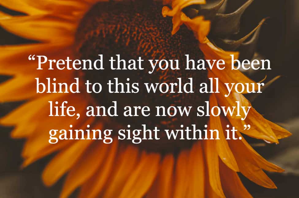"Pretend that you have been blind to this world all your life, and are now slowly gaining sight within it." quote by Jane Roberts