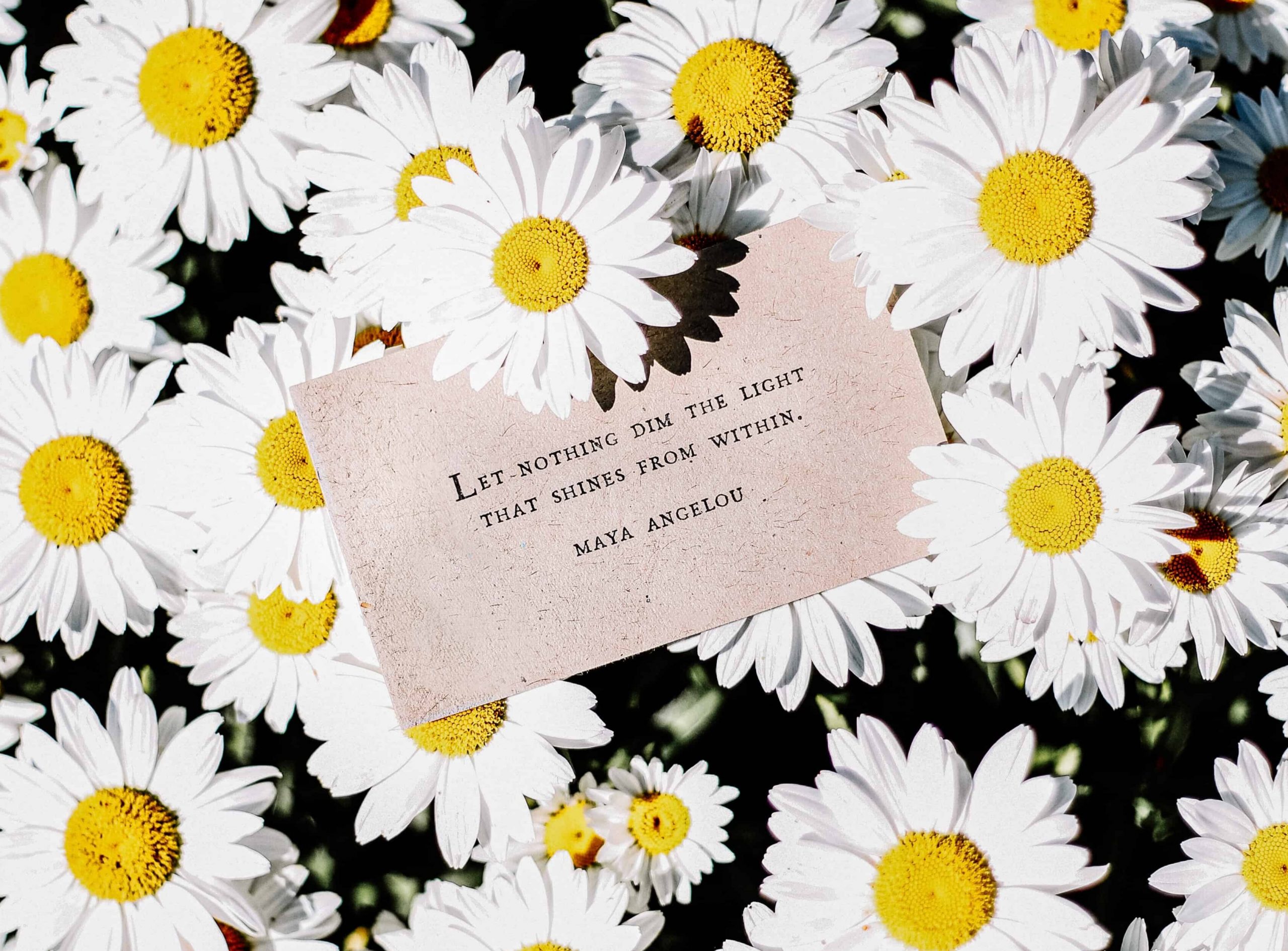 "Let nothing dim the light that shines from within" Maya Angelou quote on a piece of paper laid on a field of daisies