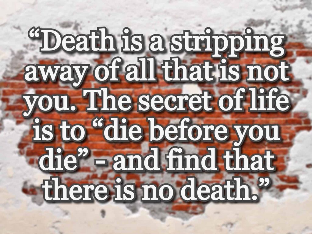 “Death is a stripping away of all that is not you. The secret of life is to “die before you die” - and find that there is no death.” quote over peeling brick wall