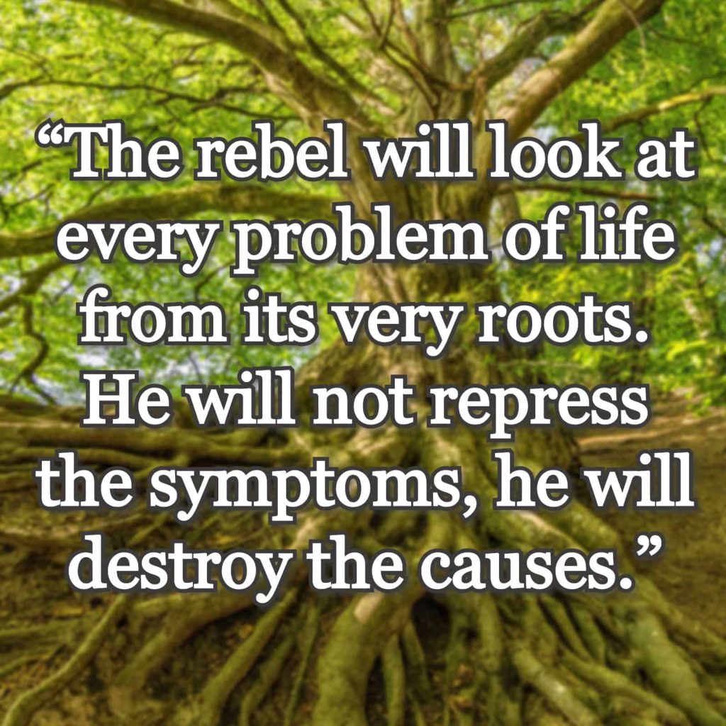 “The rebel will look at every problem of life from its very roots. He will not repress the symptoms, he will destroy the causes.” quote over tree and roots picture