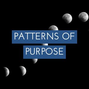 Different moon phases