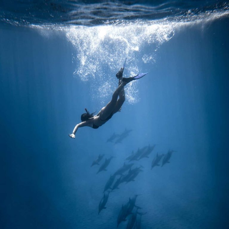 A person diving deep into the ocean with fish swimming below